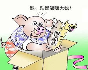低利息配资怎么选？小白入门攻略指南，全网最全分析真实数据全公开